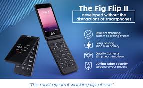 Fig Flip II