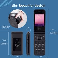 Fig Mini II
