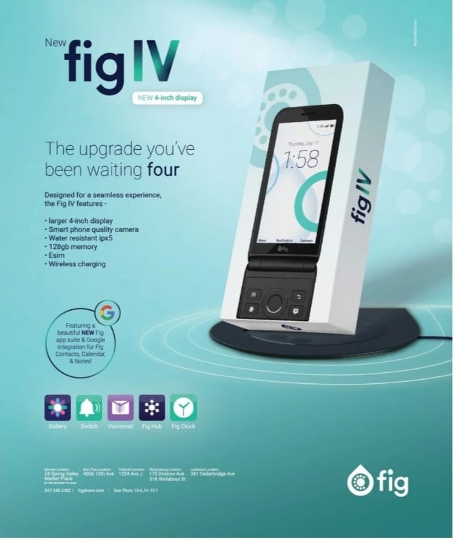 Fig IV