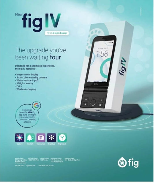 Fig IV
